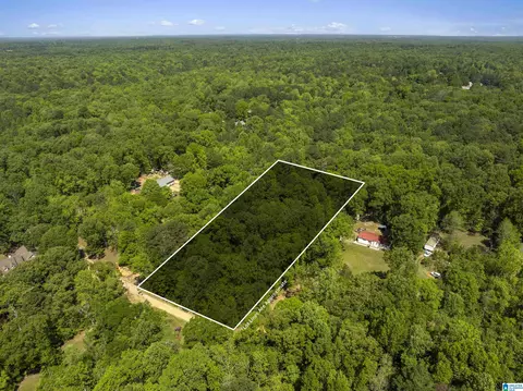 2 Acres Pleasant Trl #030061, Jasper, AL 35504