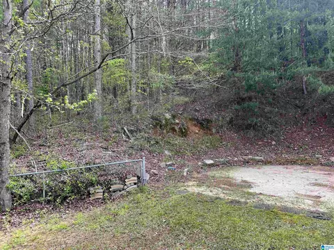 Exterior - 1158 Armstrong Rd, Remlap, AL 35133 photo 26 of 26