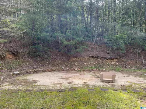 Exterior - 1158 Armstrong Rd, Remlap, AL 35133 photo 25 of 26