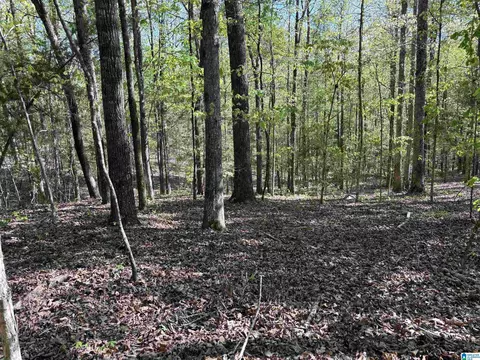 0 Hickory Hills Dr #5, Centreville, AL 35042