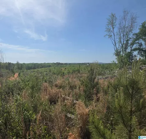 Tract 8 County Road 256 #TRACT 8, Wedowee, AL 36278