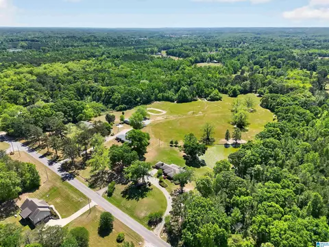 View/Area - 1035 Temple Rd, Clanton, AL 35045 photo 3 of 6