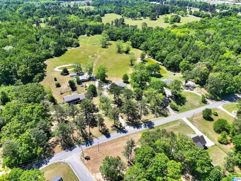 View/Area - 1035 Temple Rd, Clanton, AL 35045 photo 5 of 6