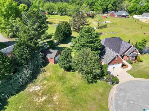 View/Area - 65 County Road 1002, Clanton, AL 35045 photo 2 of 6