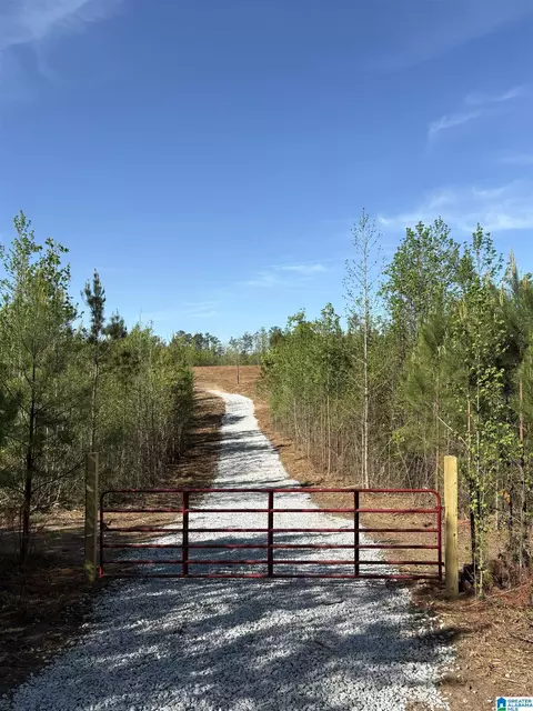 431 Wedowee Cove Drive #PARCEL 1-18 ACRES, Wedowee, AL 36278