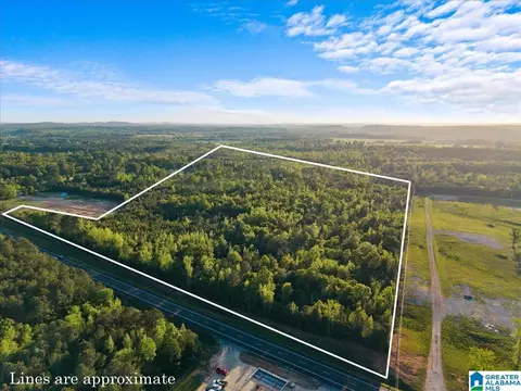 42 Acres Alabama Highway 77 #0, Ohatchee, AL 36271