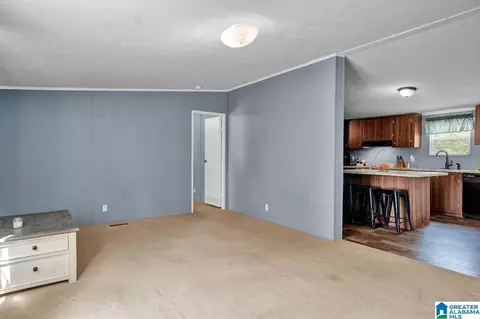 115 Kelly Dr, Jasper, AL 35503 photo 7