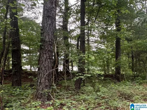 000 County Road 400 #LOT 1, Shelby, AL 35143