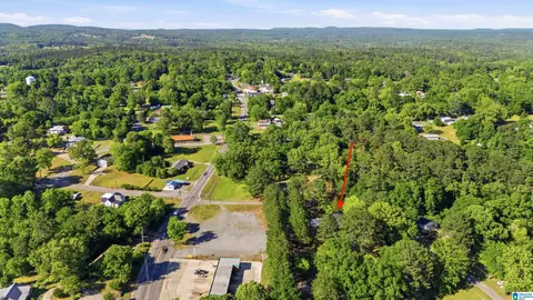 Other - 620 Dee Dr, Warrior, AL 35180 photo 8 of 9