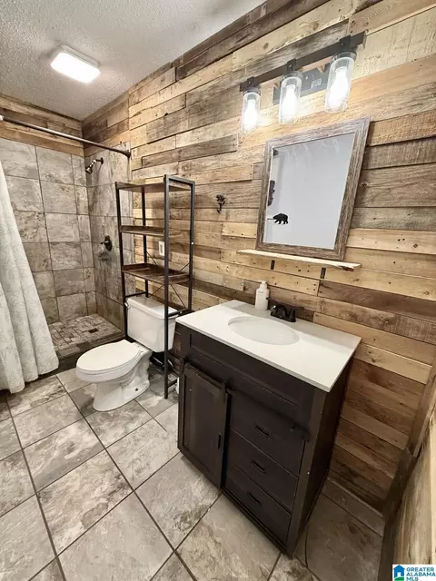 Bath - 222 Kenyon Dr, Ohatchee, AL 36271 photo 5 of 5