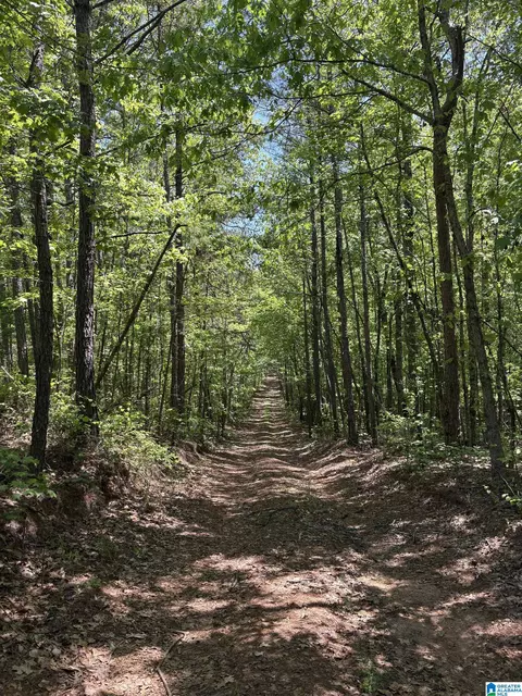 0 County Road 26 #1, Wadley, AL 36276