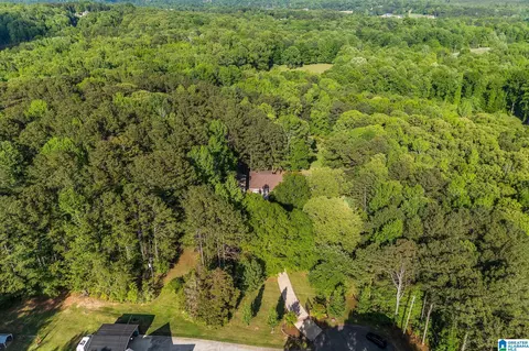 View/Area - 12421 Mcmath Cir, Mc Calla, AL 35111 photo 1 of 3