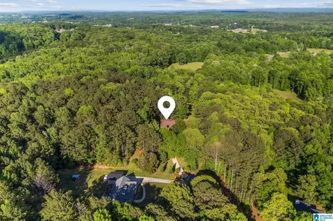 View/Area - 12421 Mcmath Cir, Mc Calla, AL 35111 photo 3 of 3