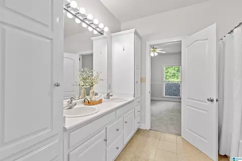Bath - 12421 Mcmath Cir, Mc Calla, AL 35111 photo 4 of 5