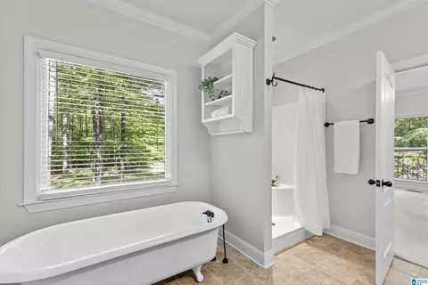 Bath - 12421 Mcmath Cir, Mc Calla, AL 35111 photo 3 of 5