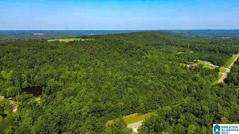 0 Highway 145 #PARCEL 1, Clanton, AL 35046