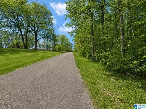 0 Shamrock Ln #0, Piedmont, AL 36272