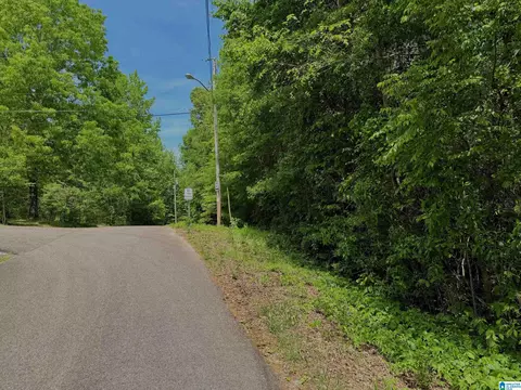 0 Shamrock Ln #0, Piedmont, AL 36272
