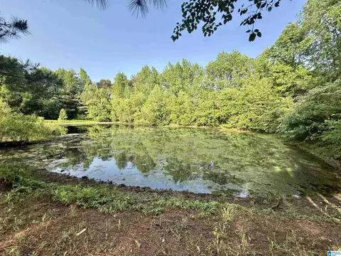 151 Friendship Rd, Altoona, AL 35952