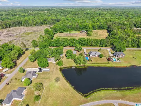 View/Area - 1610 Hinkle Rd, Clanton, AL 35045 photo 4 of 7
