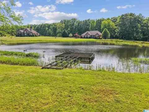 View/Area - 1610 Hinkle Rd, Clanton, AL 35045 photo 3 of 7