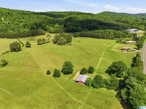 0 Highway 174 #1, Springville, AL 35146