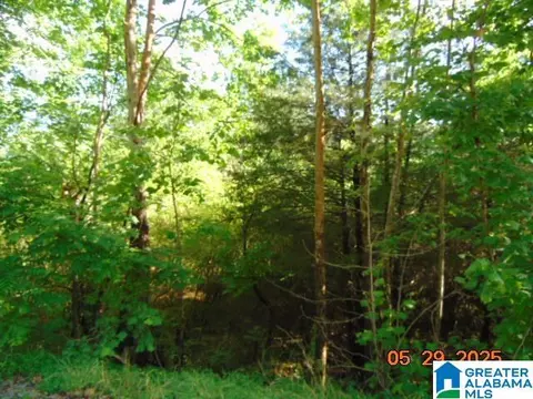 0 County Road 43 #1, Clanton, AL 35045