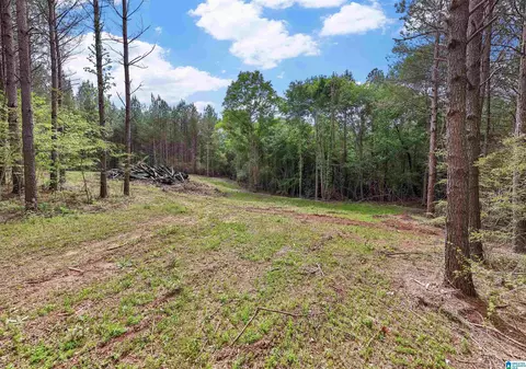 0 County Road 432 #2, Woodland, AL 36280