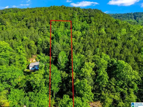 0 Wonder Ln #0, Parrish, AL 35580 photo 13