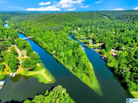 0 Wonder Ln #0, Parrish, AL 35580 photo 12