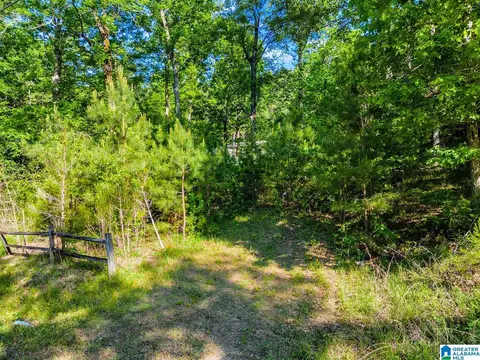 0 Wonder Ln #0, Parrish, AL 35580 photo 9