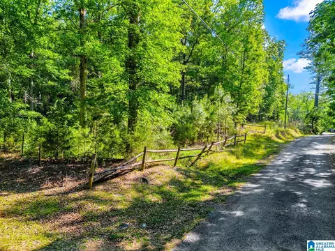 0 Wonder Ln #0, Parrish, AL 35580 photo 14