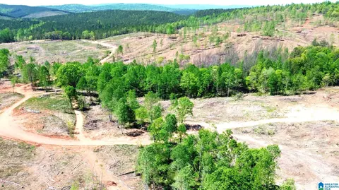 mines road, Ashland, AL 35160