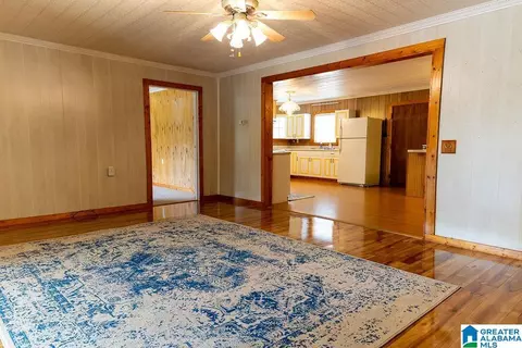 Living - 12974 Alpine Cir, Lake View, AL 35111 photo 2 of 7