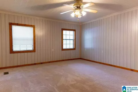 Other - 12974 Alpine Cir, Lake View, AL 35111 photo 17 of 21