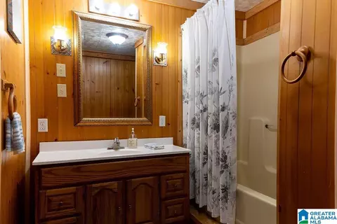 Bath - 12974 Alpine Cir, Lake View, AL 35111 photo 4 of 5