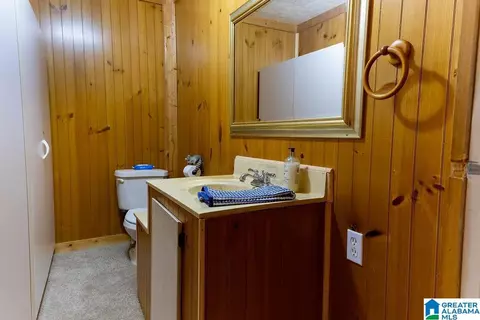 Bath - 12974 Alpine Cir, Lake View, AL 35111 photo 3 of 5