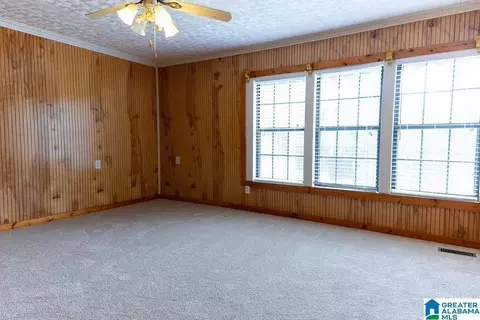 Living - 12974 Alpine Cir, Lake View, AL 35111 photo 5 of 7
