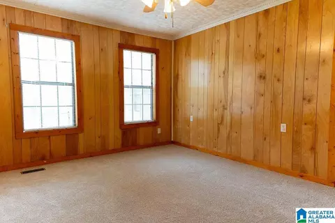 Other - 12974 Alpine Cir, Lake View, AL 35111 photo 19 of 21