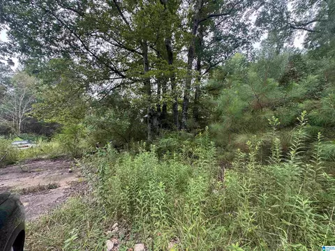 204 County Rd #3055, Nauvoo, AL 35578