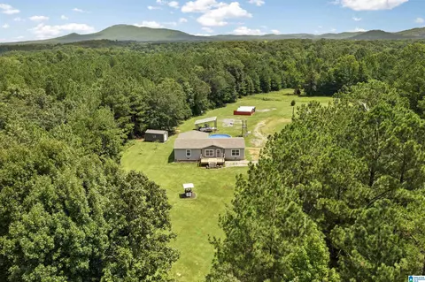 1336 Estes Rd, Piedmont, AL 36272