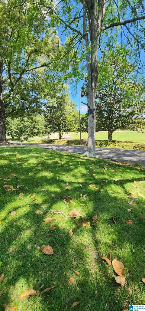 Other - 732 1st Ave E, Oneonta, AL 35121 photo 1 of 3