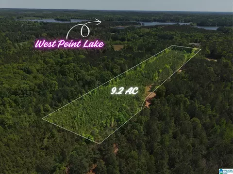 0 County Road 266 #1, County, AL 36855