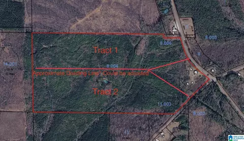 0 County Road 79 #1, Wadley, AL 36276