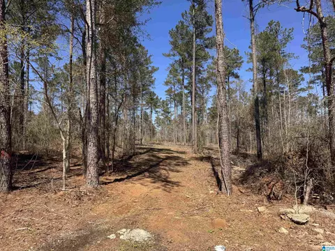 00 Finnell Rd #0, Northport, AL 35475