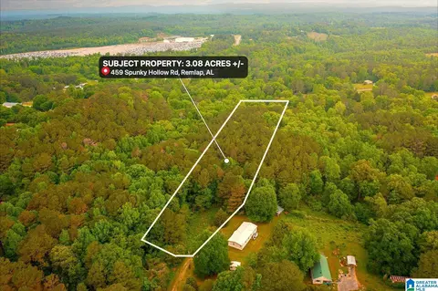 0 Spunky Hollow Rd #1, Trafford, AL 35172