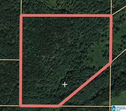 0 Jones Chapel Rd #0, Springville, AL 35146