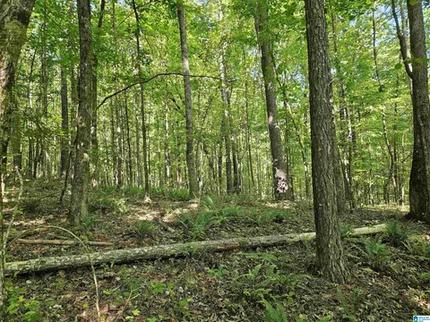 0 Mardis Ln #0, Springville, AL 35146