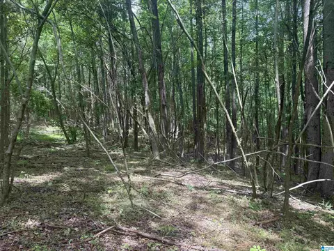 1 County Road 670 #-, Ranburne, AL 36273
