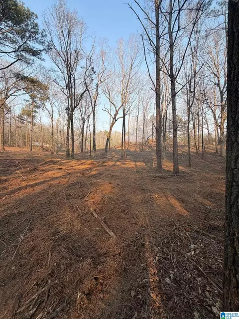 1895 Eureka Rd #NONE, Lincoln, AL 35096